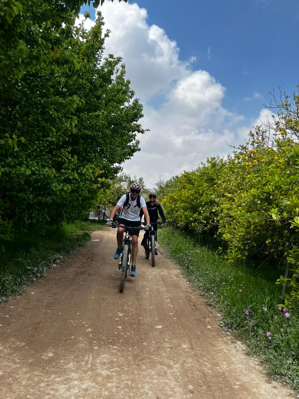 Journée en E-bike avec déjeuner